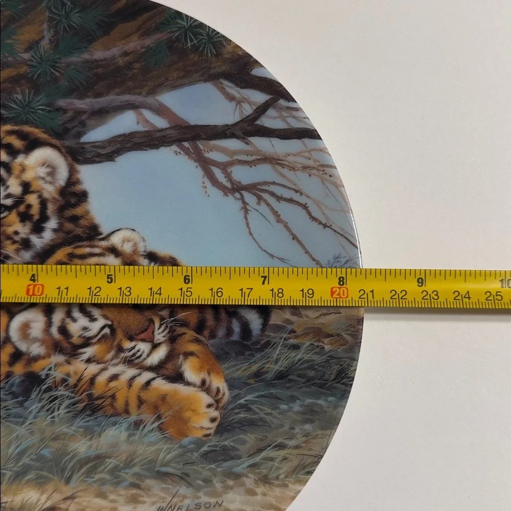 Vintage 1992. Will Nelson. Nap Time. Paw Prints: Baby Cats of the Wild. 2026A